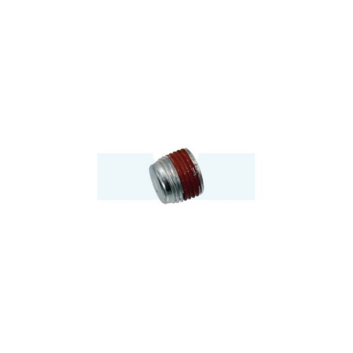 Bouchon de vidange d'huile pour moteur Briggs & Stratton (691680)
