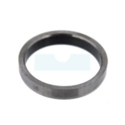 Siège de soupape d'échappement pour moteur Briggs & Stratton (691155)