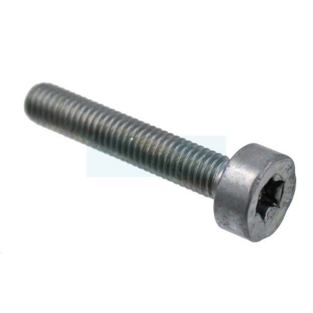 Vis de carter pour débroussailleuse / pulvérisateur / tarière / tronçonneuse Stihl (90223410900)