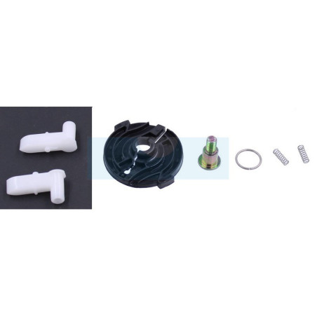 Kit cliquet de lanceur pour moteur Briggs & Stratton (492333)