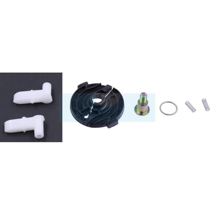 Kit cliquet de lanceur pour moteur Briggs & Stratton (492333)