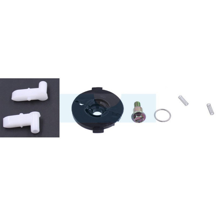 Kit cliquet de lanceur pour moteur Briggs & Stratton (492333)