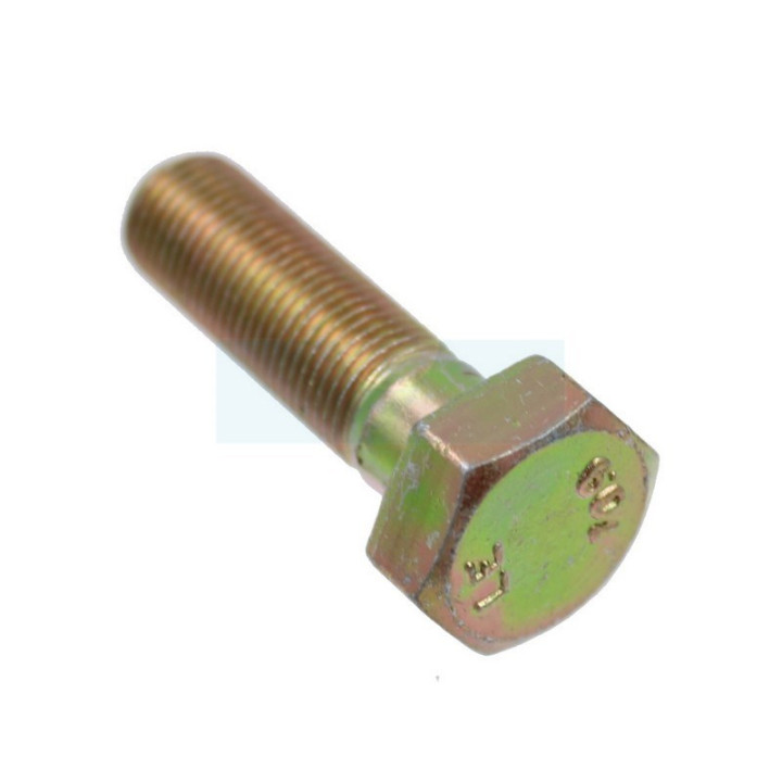 Vis de lame pour tracteur tondeuse Roques & Lecoeur (N309599017)