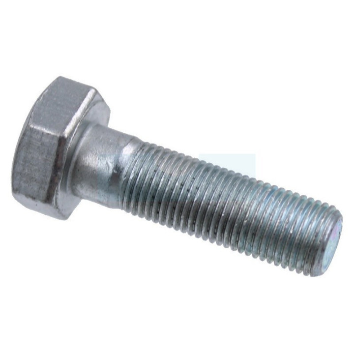 Vis de lame pour tracteur tondeuse Oleo Mac (N309599008)
