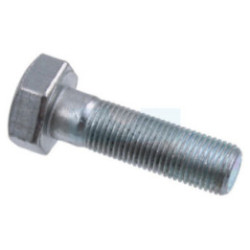 Vis de lame pour tracteur tondeuse Roques & Lecoeur (N309599008)