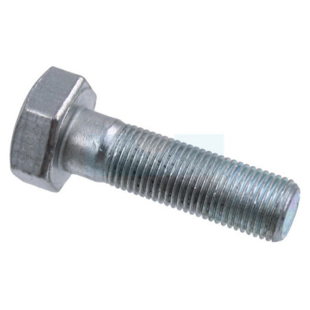 Vis de lame pour tracteur tondeuse Ags (N309599008)
