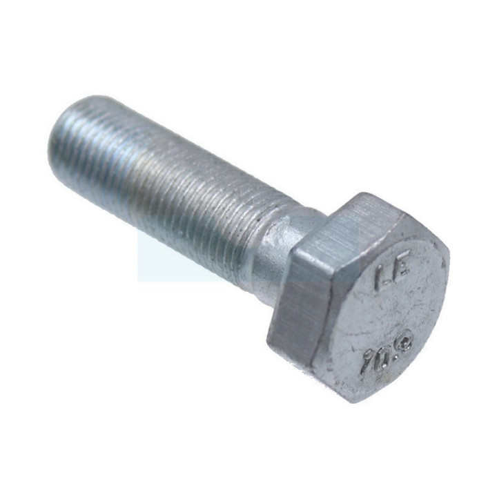 Vis de lame pour tracteur tondeuse Ags (N309599008)