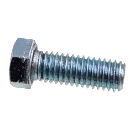 Vis de lame pour tracteur tondeuse Simplicity (703579)