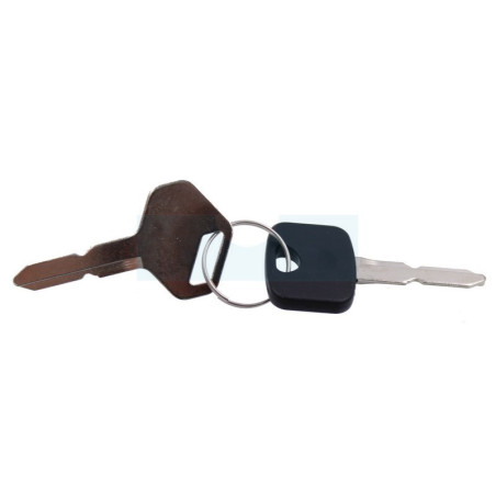 Clé de contact pour tracteur tondeuse Alpina (1182100230)