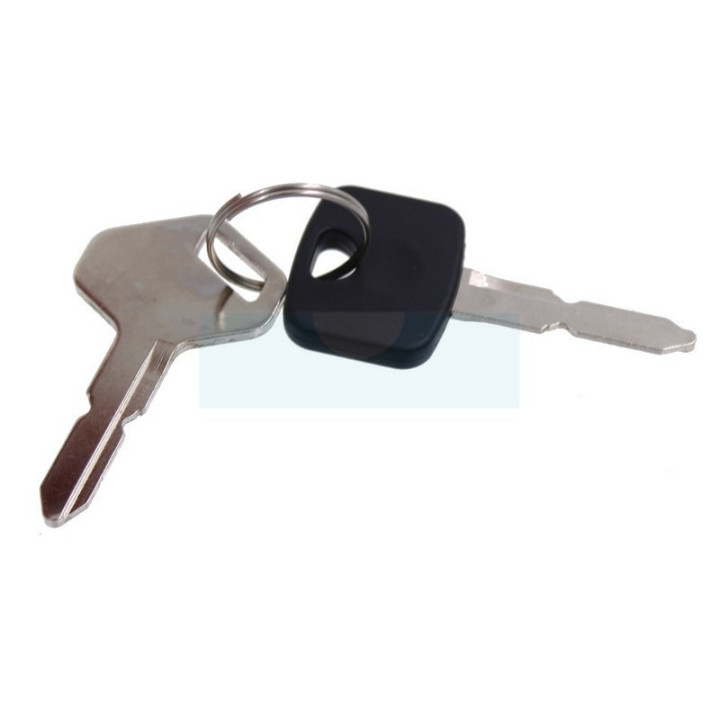 Clé de contact pour tracteur tondeuse Mac Allister (1182100230)