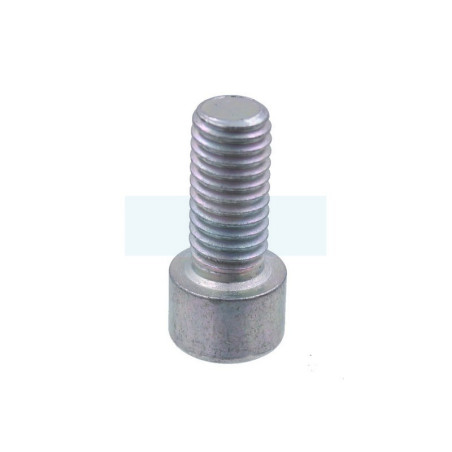 Boulon de lame pour tracteur tondeuse Simplicity (703845)