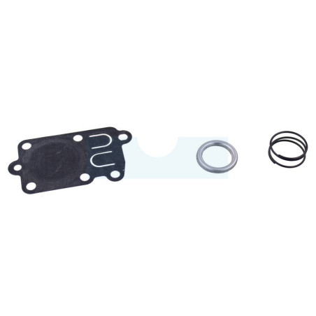 Membrane + ressort pour moteur Briggs & Stratton (691823)