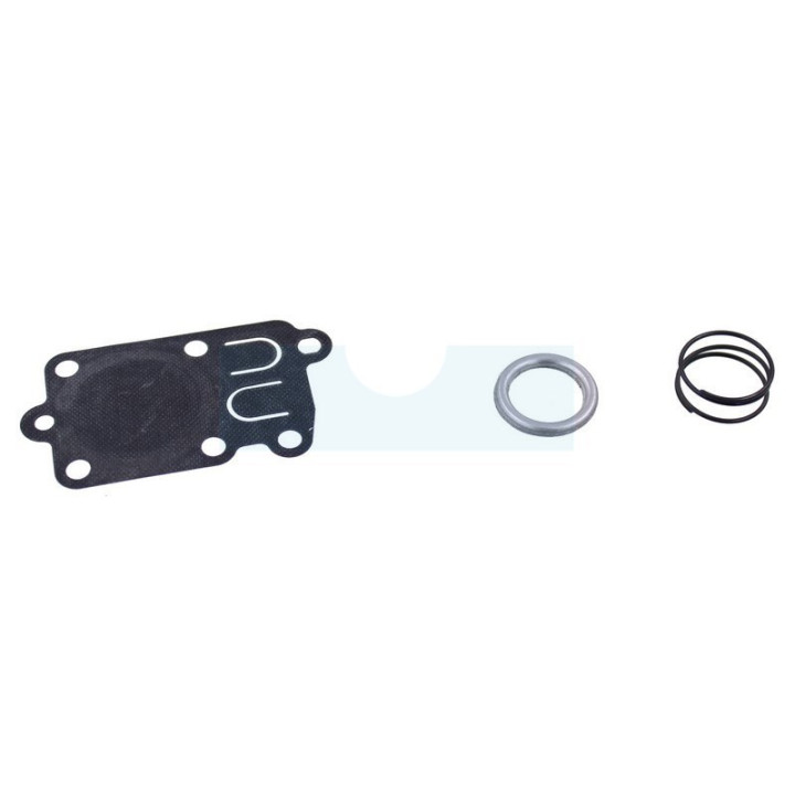 Membrane + ressort pour moteur Briggs & Stratton (691823)