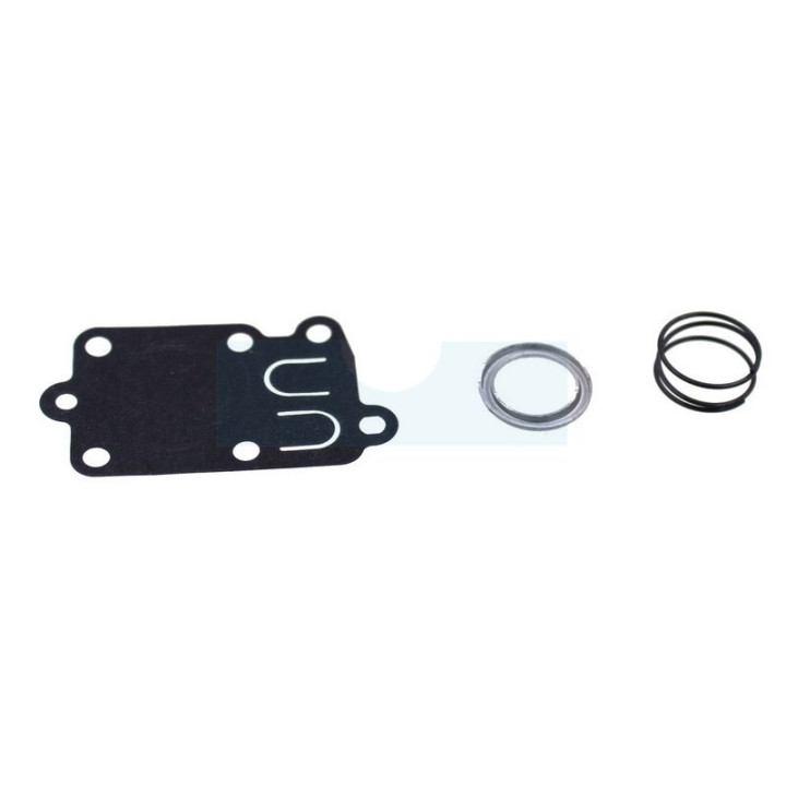 Membrane + ressort pour moteur Briggs & Stratton (691823)