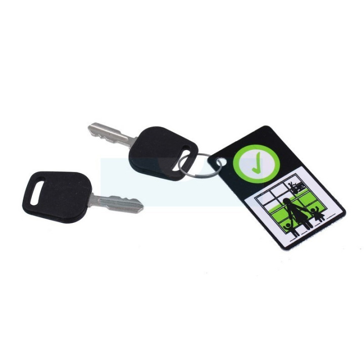 Clé de contact pour tracteur tondeuse Simplicity (7106172YP)