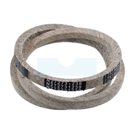 Courroie pour tracteur tondeuse Roques & Lecoeur (N272731239)