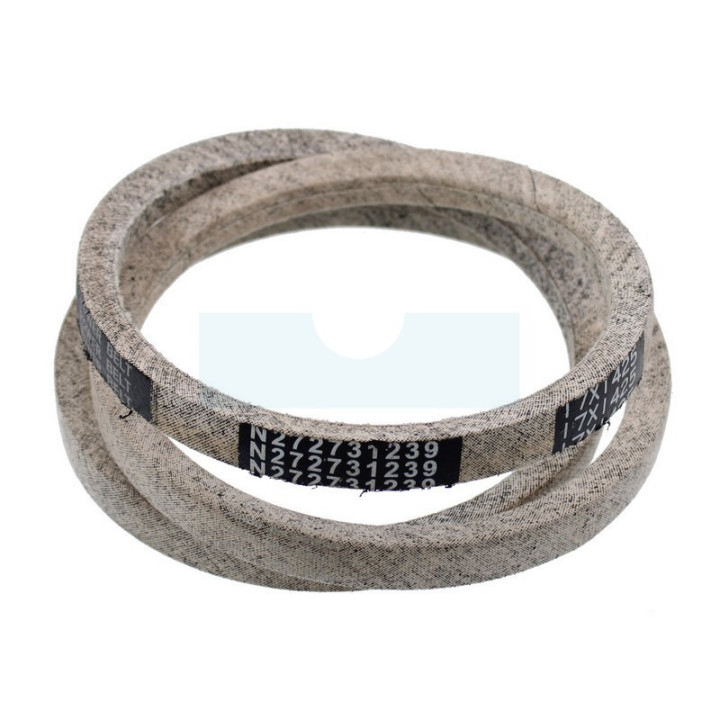 Courroie pour tracteur tondeuse Roques & Lecoeur (N272731239)