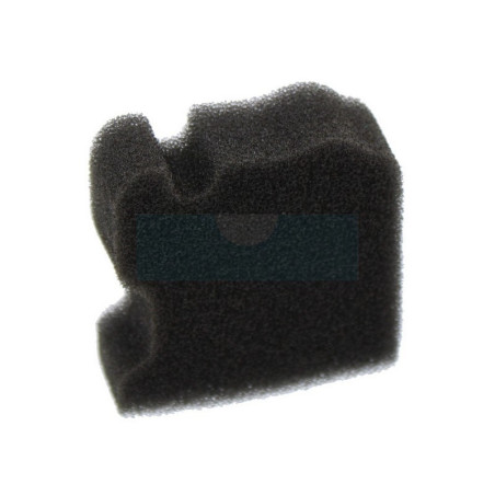 Filtre à air pour Active (21322)