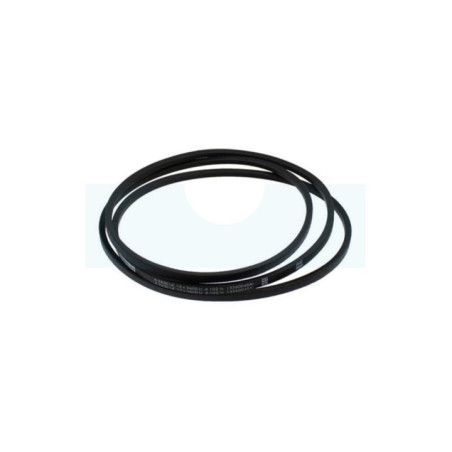 Courroie de traction pour tracteur tondeuse Roques & Lecoeur (N272731253)