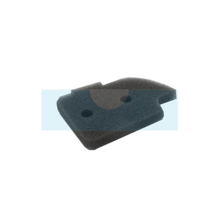 Filtre à air pour Bluebird (332250)