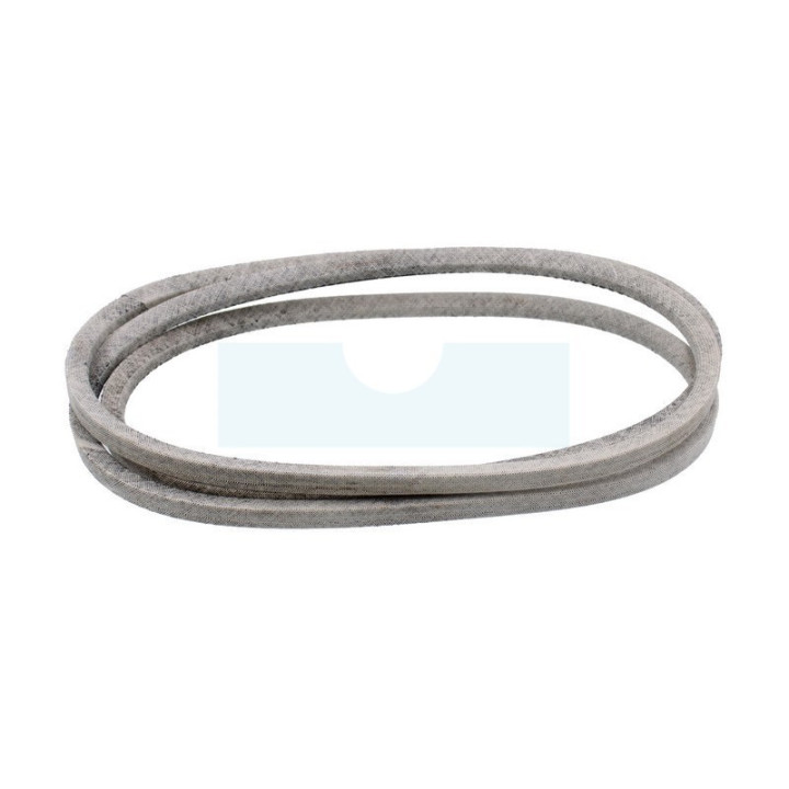 Courroie pour tracteur tondeuse Simplicity (1732955SM)