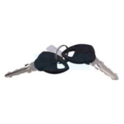 Jeu de clé de contact pour tracteur tondeuse Castelgarden / GGP (118210022/0)