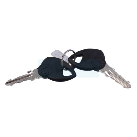 Jeu de clé de contact pour tracteur tondeuse Castelgarden / GGP (118210022/0)