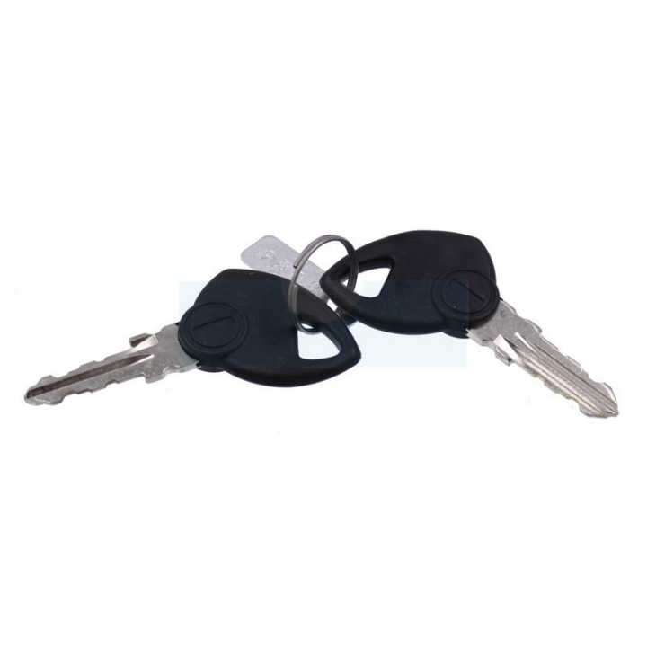 Jeu de clé de contact pour tracteur tondeuse Atco (118210022/0)