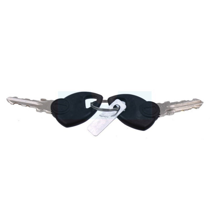 Jeu de clé de contact pour tracteur tondeuse Atco (118210022/0)