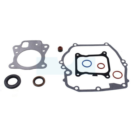 Pochette de joint pour moteur Briggs & Stratton (597320)