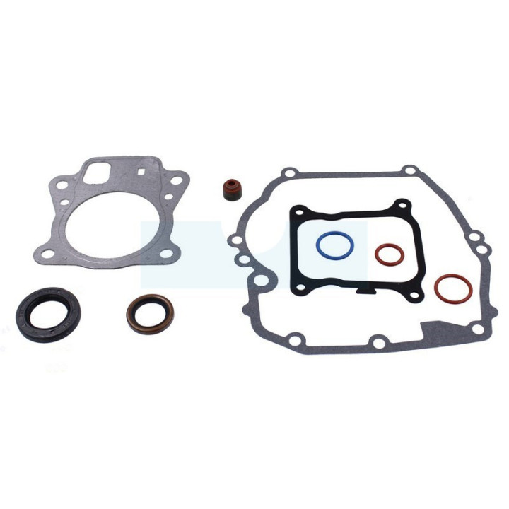 Pochette de joint pour moteur Briggs & Stratton (597320)