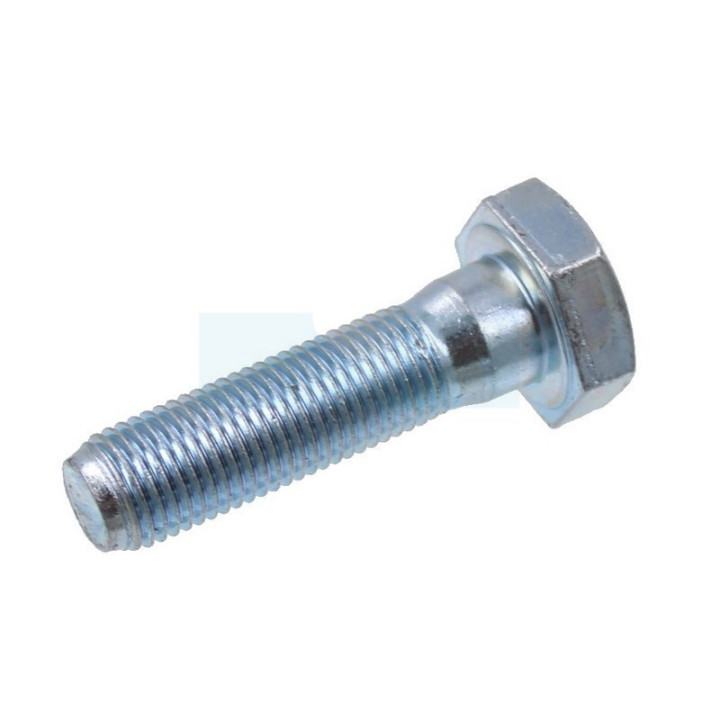 Vis pour tondeuse / motobineuse / taille-haie Mc Culloch (531208008)