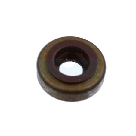 Joint de queue de soupape pour moteur Briggs & Stratton (590410)