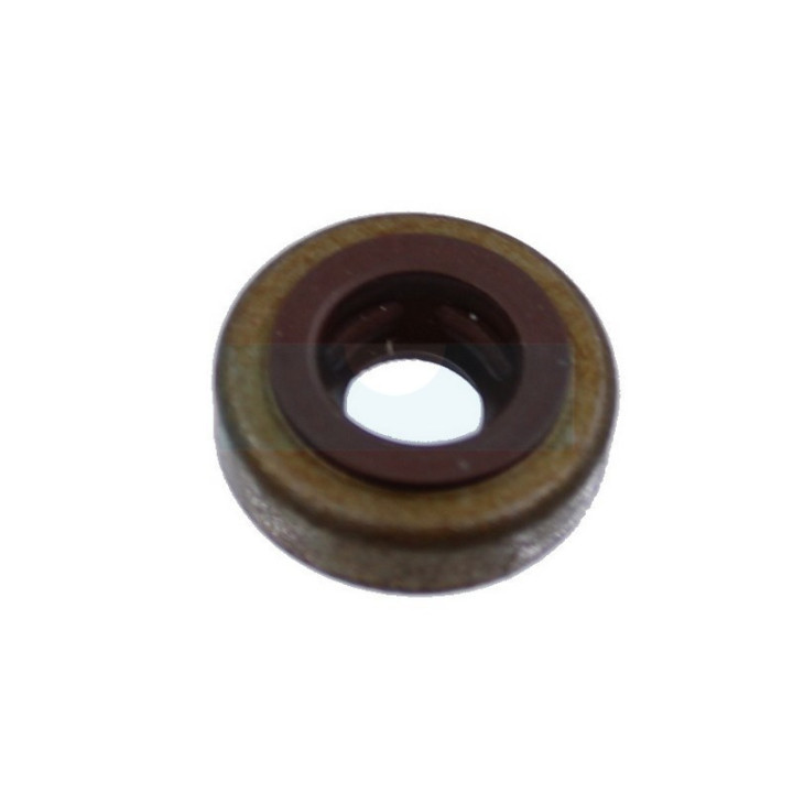Joint de queue de soupape pour moteur Briggs & Stratton (590410)