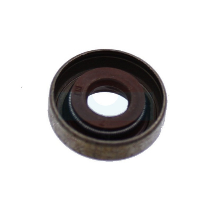 Joint de queue de soupape pour moteur Briggs & Stratton (590410)