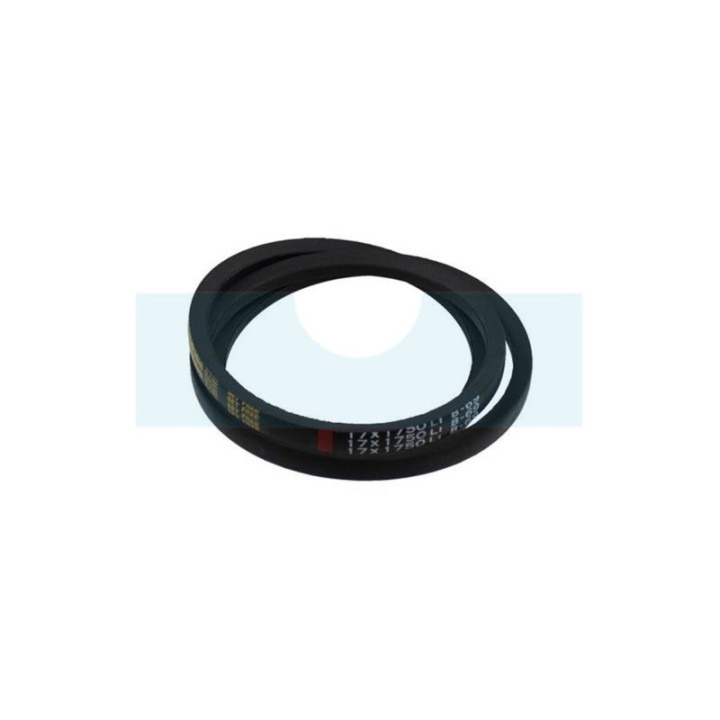 Courroie motoculture trapézoïdale 17mm x 1819mm (B69)