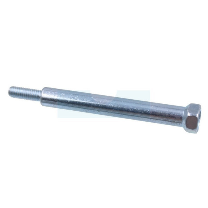 Vis de pot échappement pour moteur Briggs & Stratton (796496)