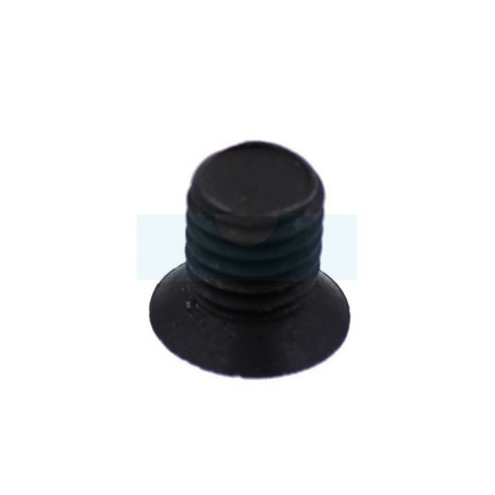 Vis de couteaux pour broyeur Ryobi (5131004883)