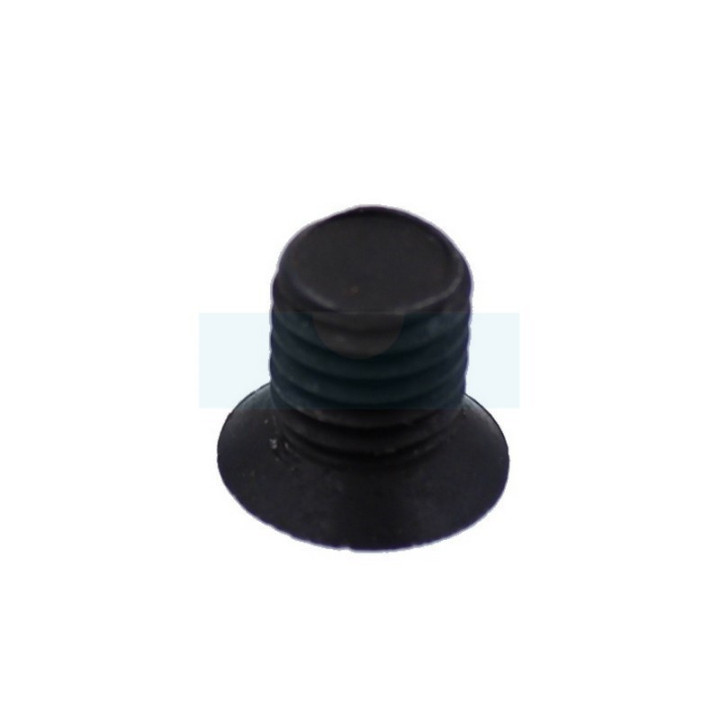 Vis de couteaux pour broyeur Ryobi (5131004883)