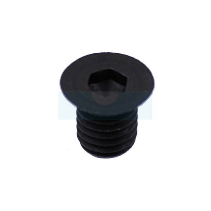 Vis de couteaux pour broyeur Ryobi (5131004883)