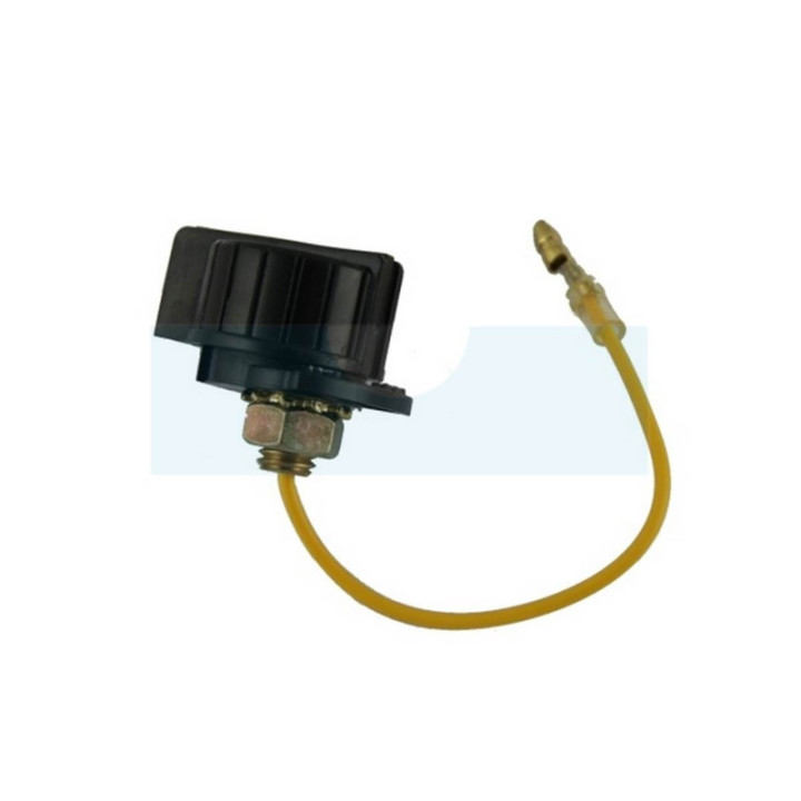 Interrupteur pour Kubota (E313167080)