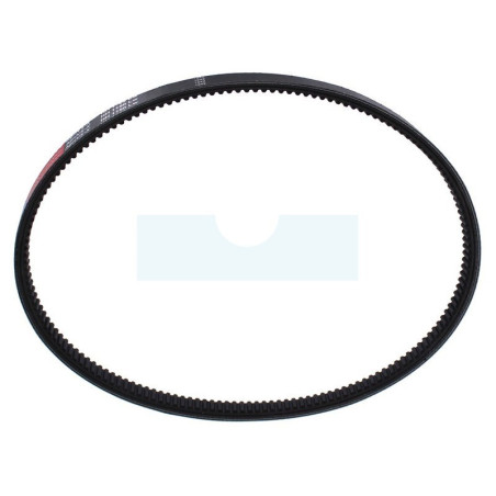 Courroie pour tracteur tondeuse Dino (8142)
