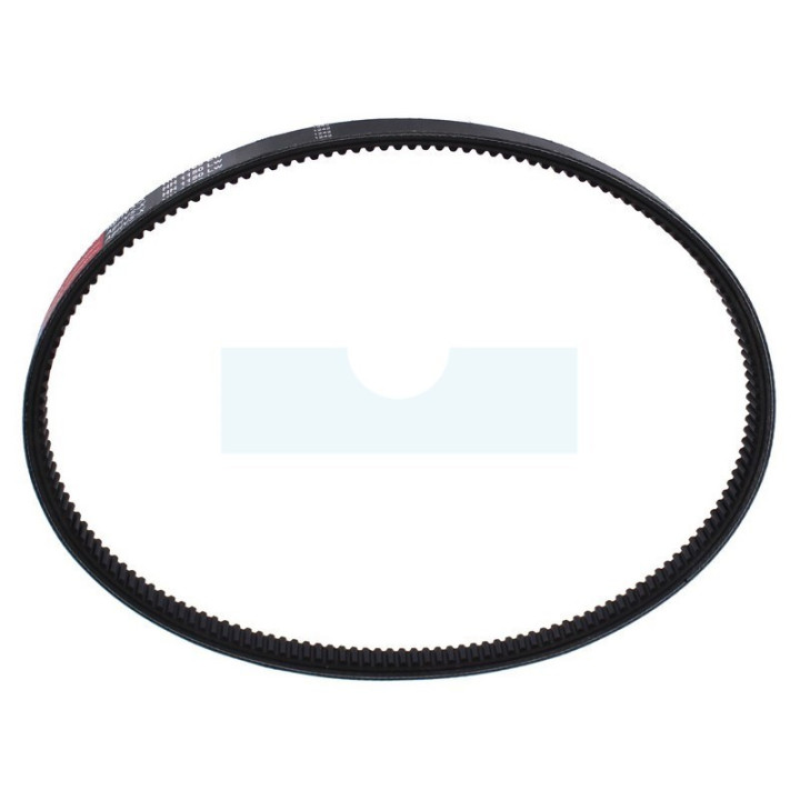 Courroie pour tracteur tondeuse Dino (8142)