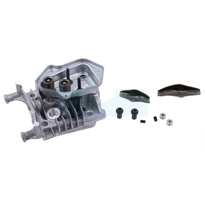 Culasse pour moteur Briggs & Stratton (84001270)