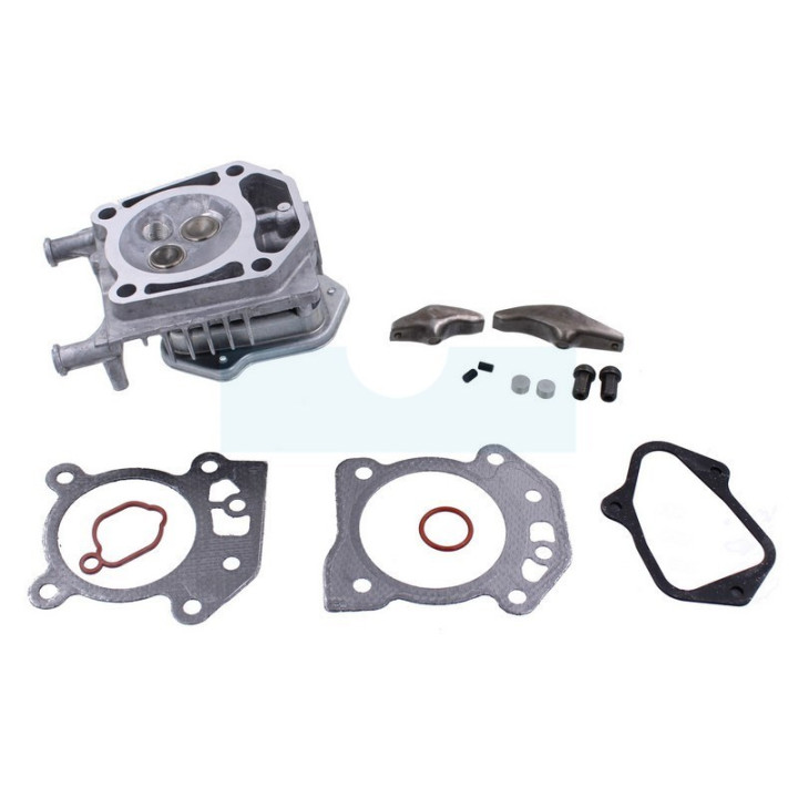 Culasse pour moteur Briggs & Stratton (84001270)