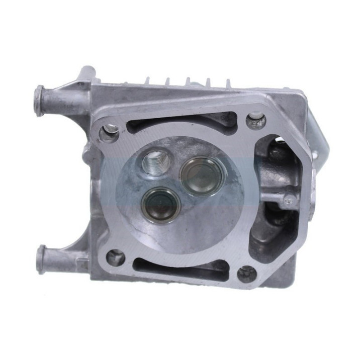 Culasse pour moteur Briggs & Stratton (84001270)