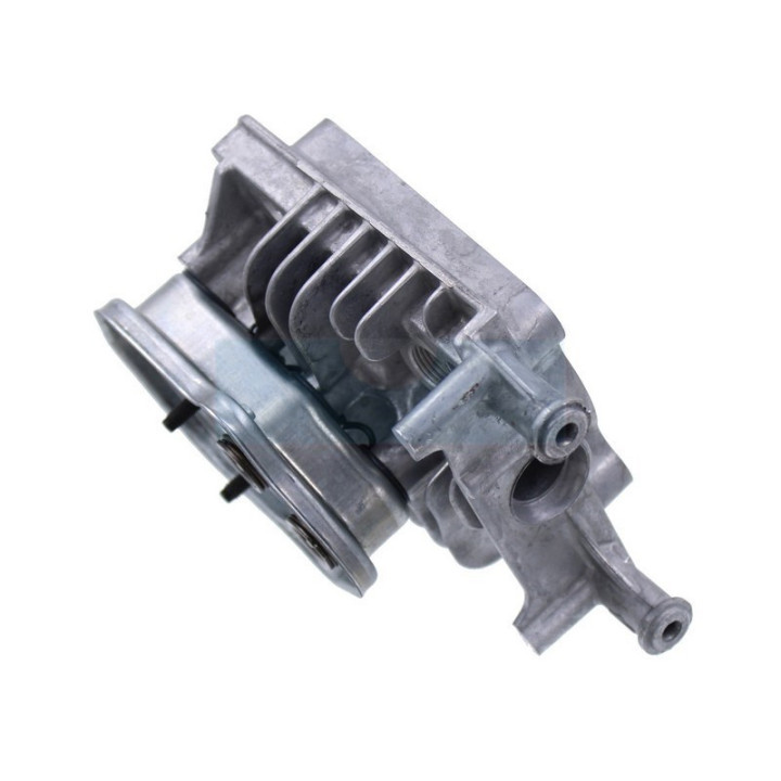 Culasse pour moteur Briggs & Stratton (84001270)