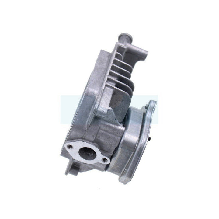 Culasse pour moteur Briggs & Stratton (84001270)