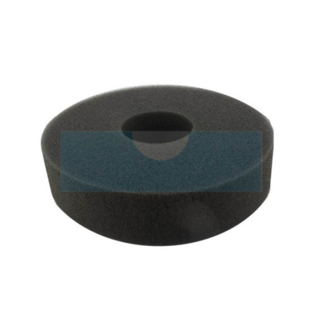 Filtre à air pour moteur Lombardini (5496111)