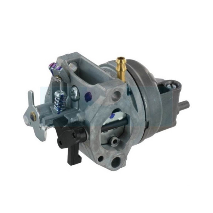Carburateur pour moteur Honda (16100Z0J013)